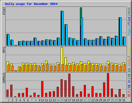 Daily usage for December 2024
