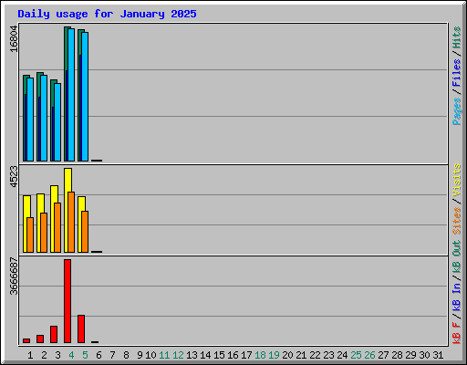 Daily usage for January 2025