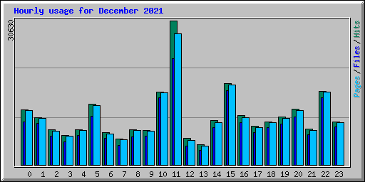 Hourly usage for December 2021