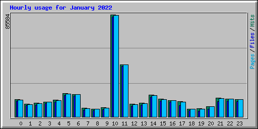Hourly usage for January 2022