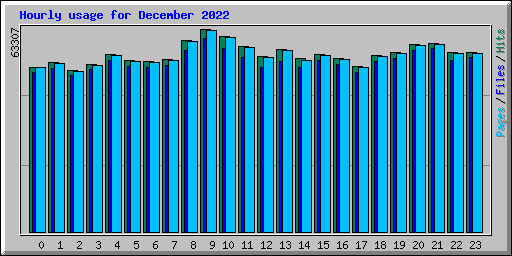 Hourly usage for December 2022