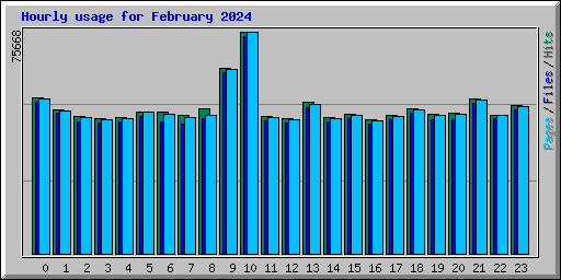 Hourly usage for February 2024