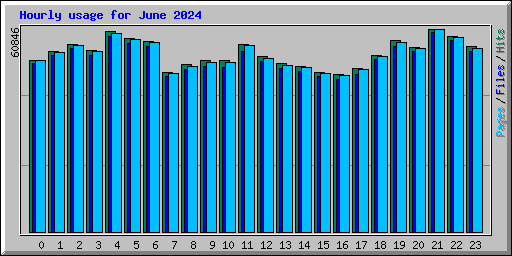 Hourly usage for June 2024