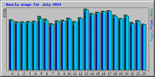 Hourly usage for July 2024
