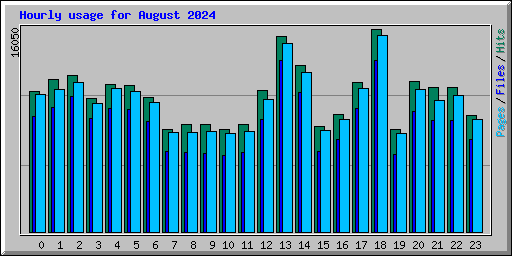 Hourly usage for August 2024