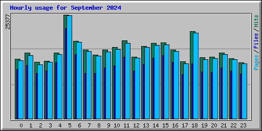 Hourly usage for September 2024