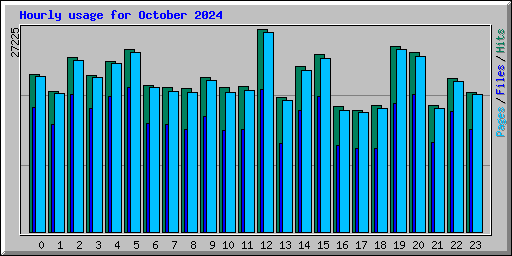 Hourly usage for October 2024