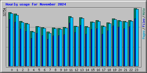 Hourly usage for November 2024
