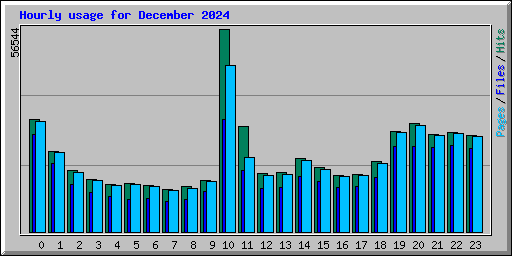 Hourly usage for December 2024