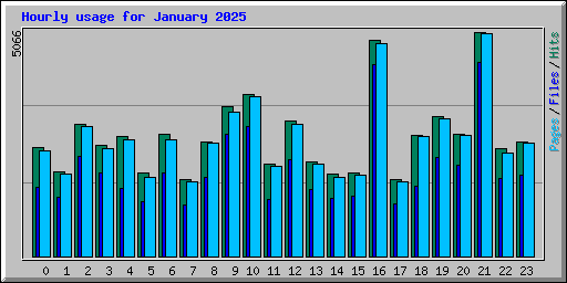Hourly usage for January 2025